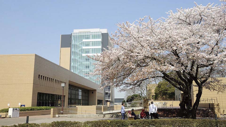 淑徳大学