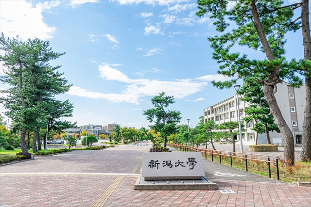新潟大学