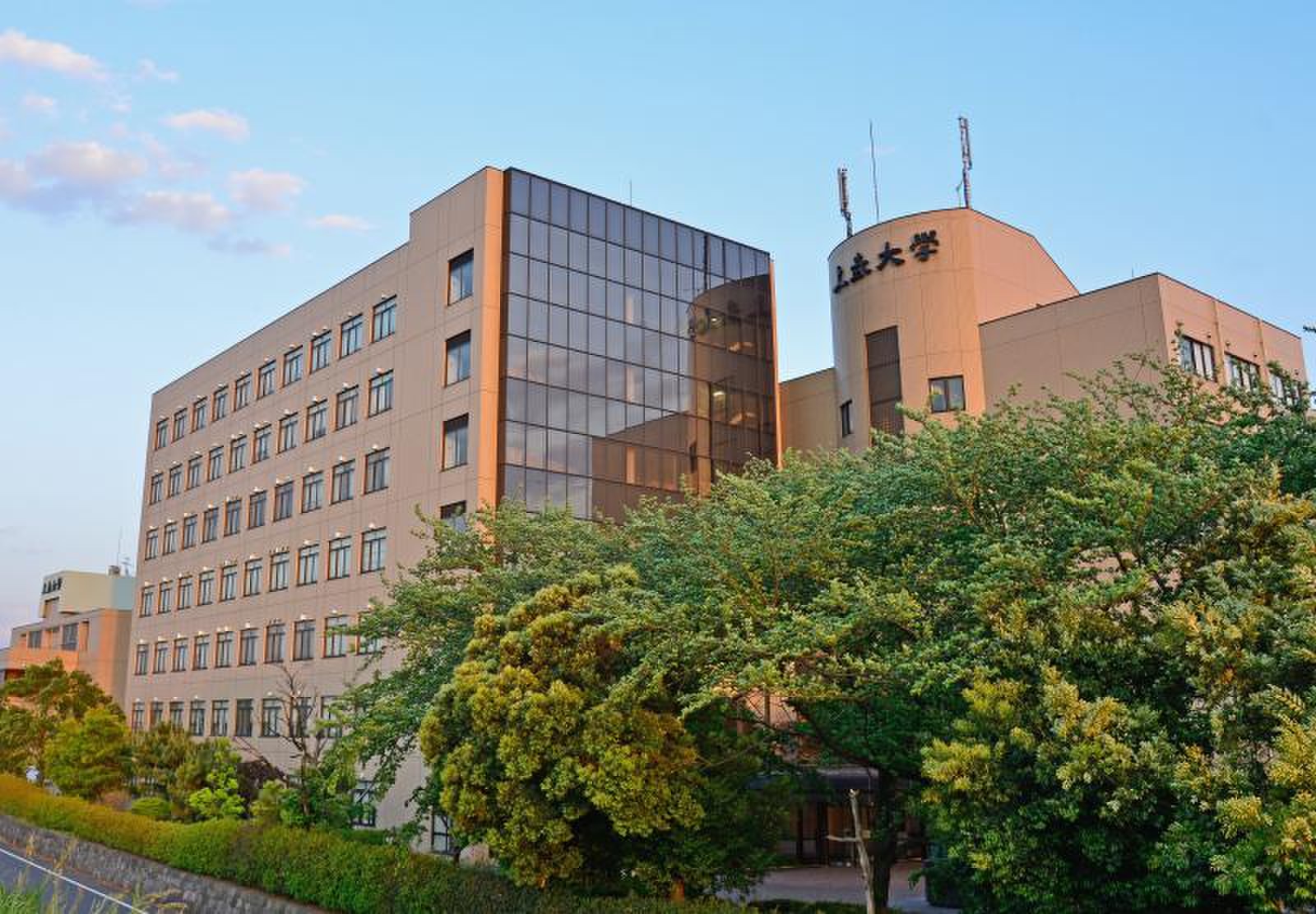 上武大学