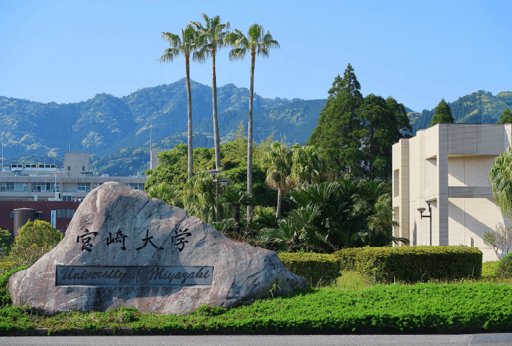 ◉宮崎大学