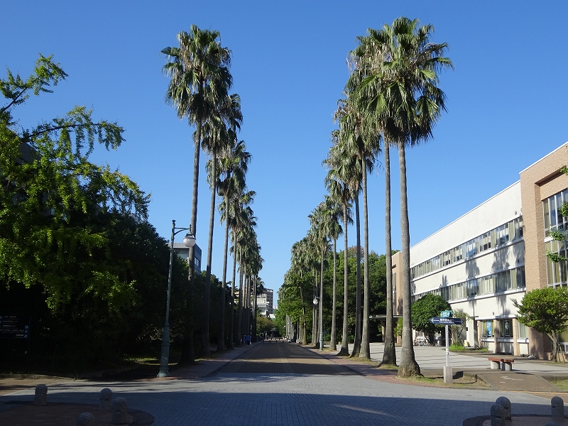 ◉鹿児島大学