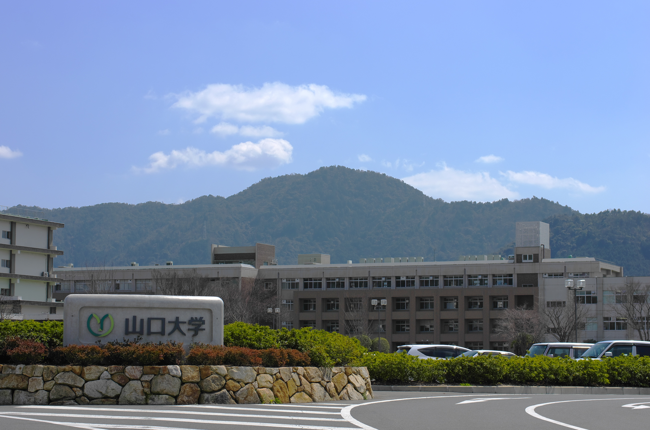 山口大学