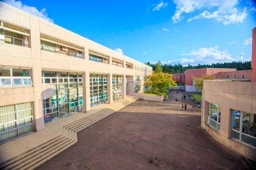 新潟産業大学