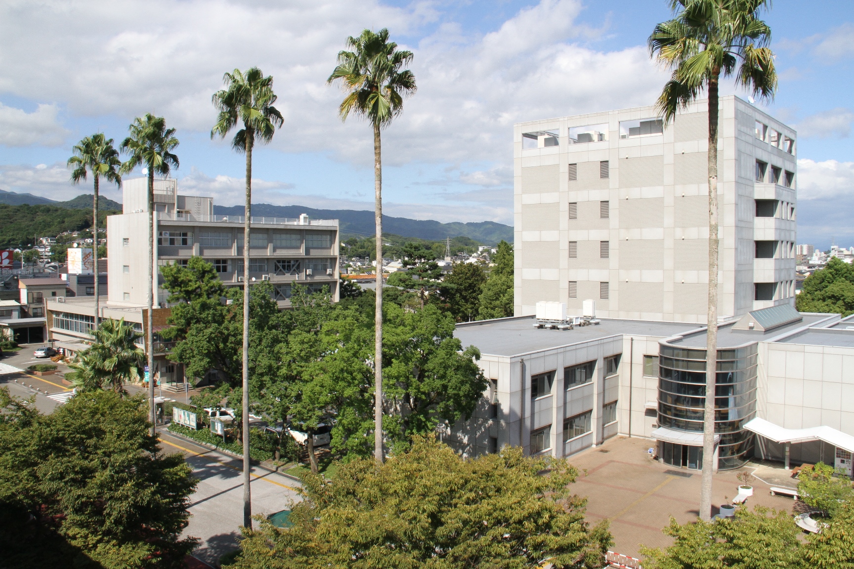 高知大学