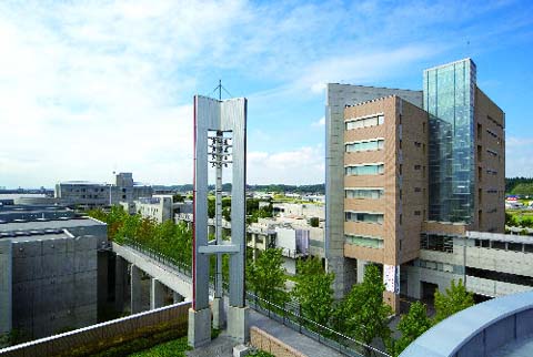 城西国際大学