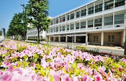 東京医療保健大学