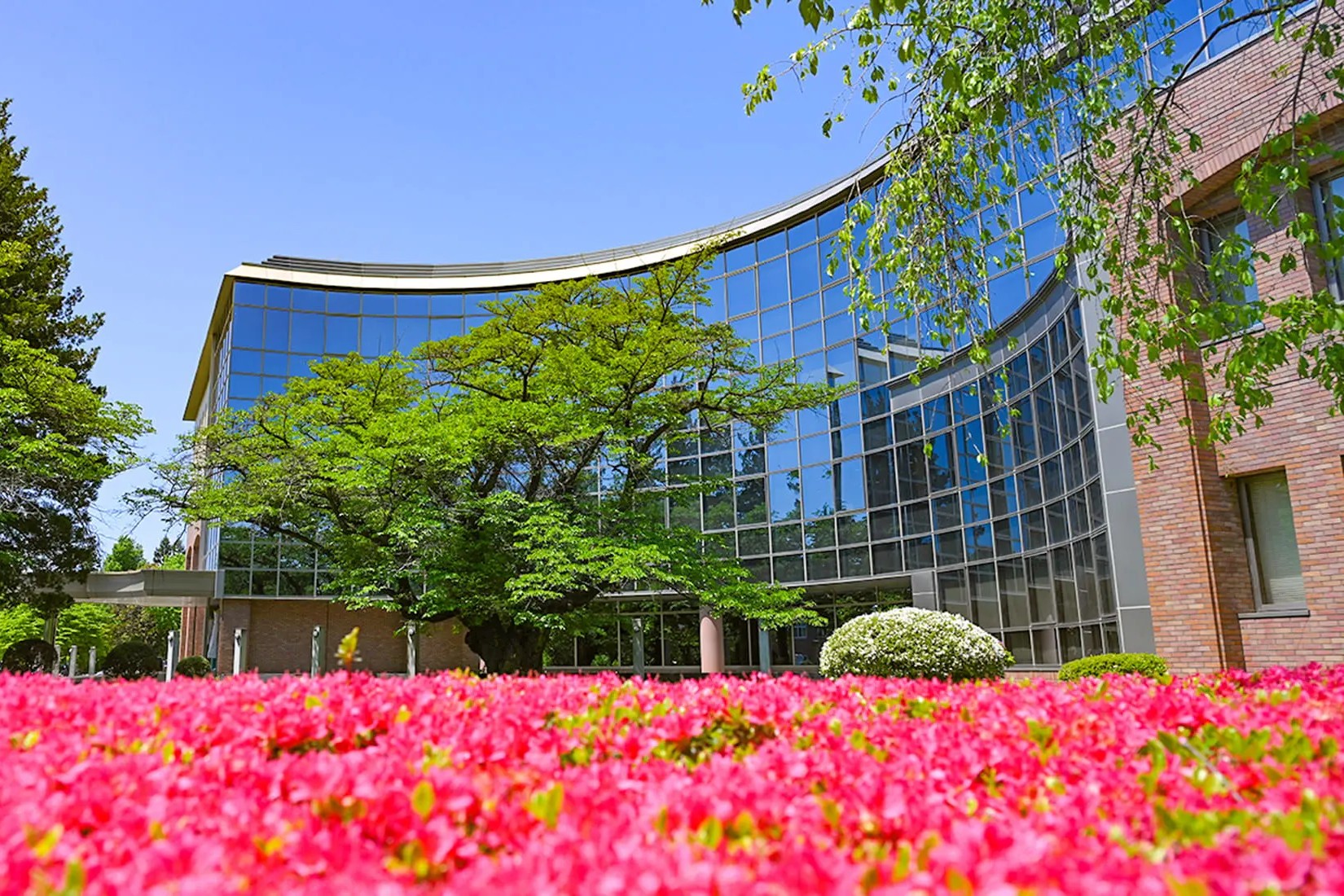 ◉岩手大学