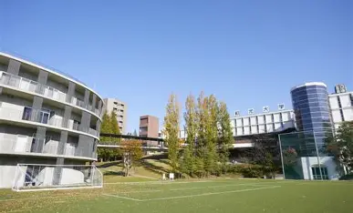 和光大学