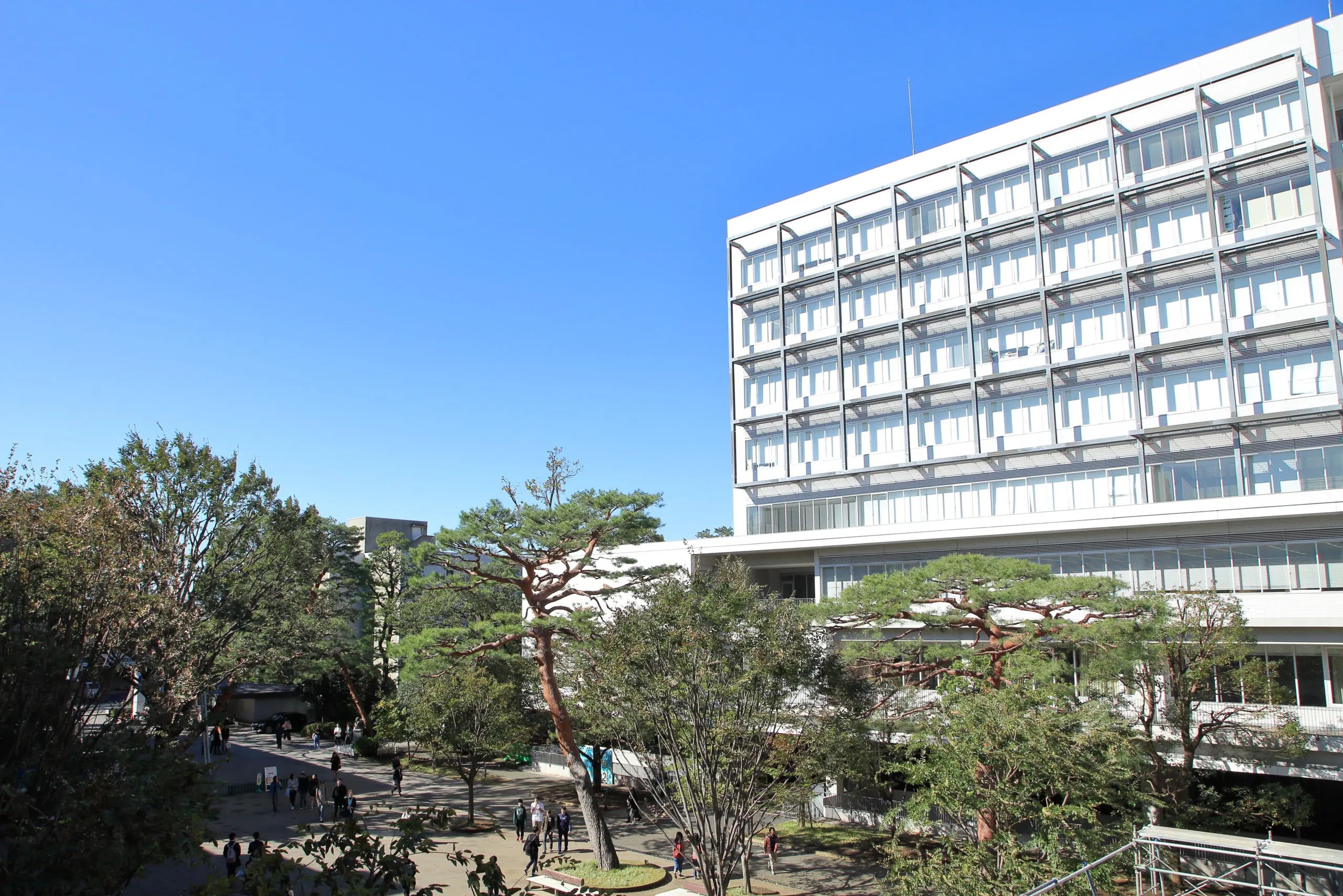 成城大学