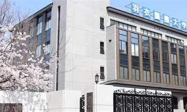 羽衣国際大学