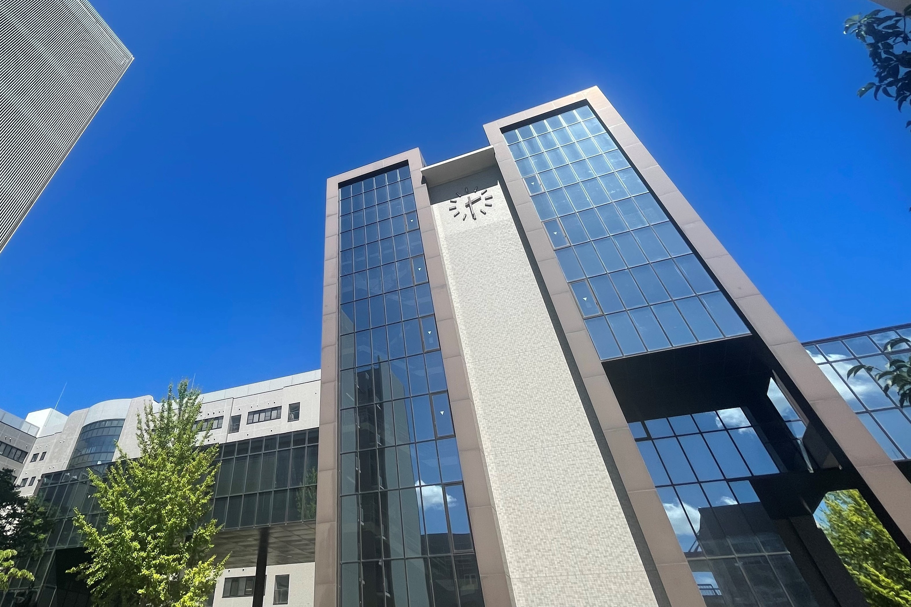 ◉徳島大学